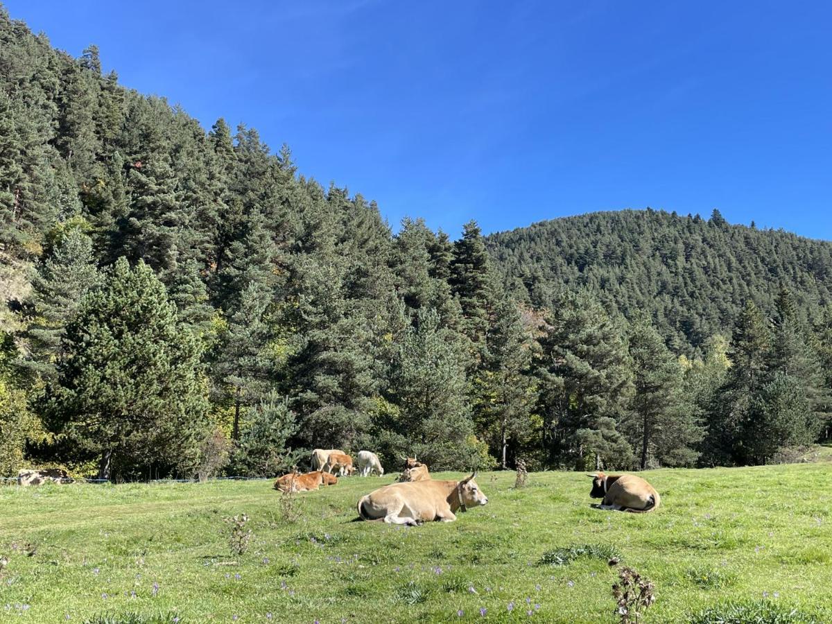 Apartamento La Molina เอลป์ ภายนอก รูปภาพ